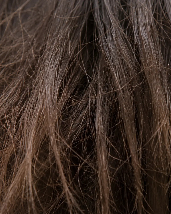 Dry & Damaged Hair